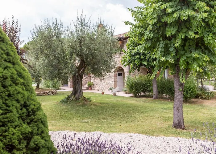 Alle Mignole Vicolo Rancolfo